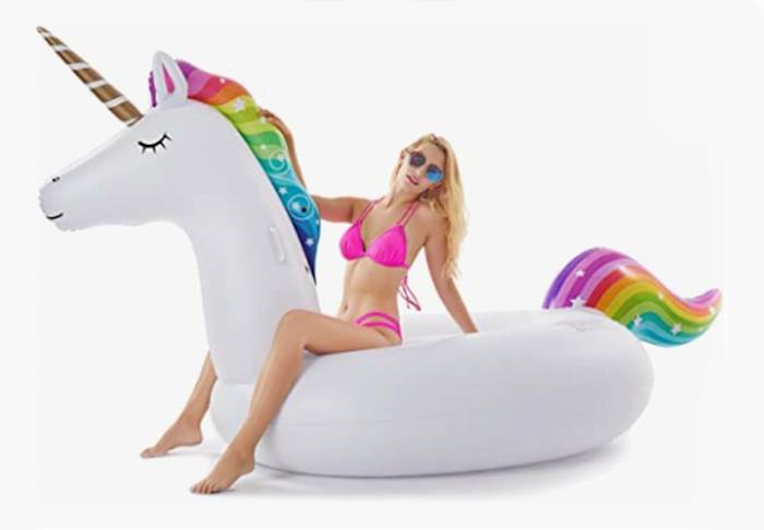 unicorn floatie